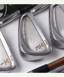 Titleist DCI Gold Irons / 1-SW / Regular Flex Titleist Shafts / No 2 Iron
